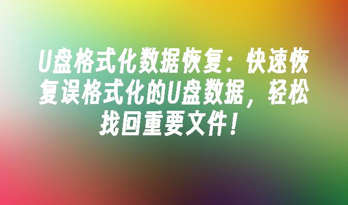 U盘格式化数据恢复：快速恢复误格式化的U盘数据，轻松找回重要文件！
