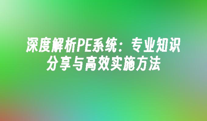 深度解析PE系统：专业知识分享与高效实施方法